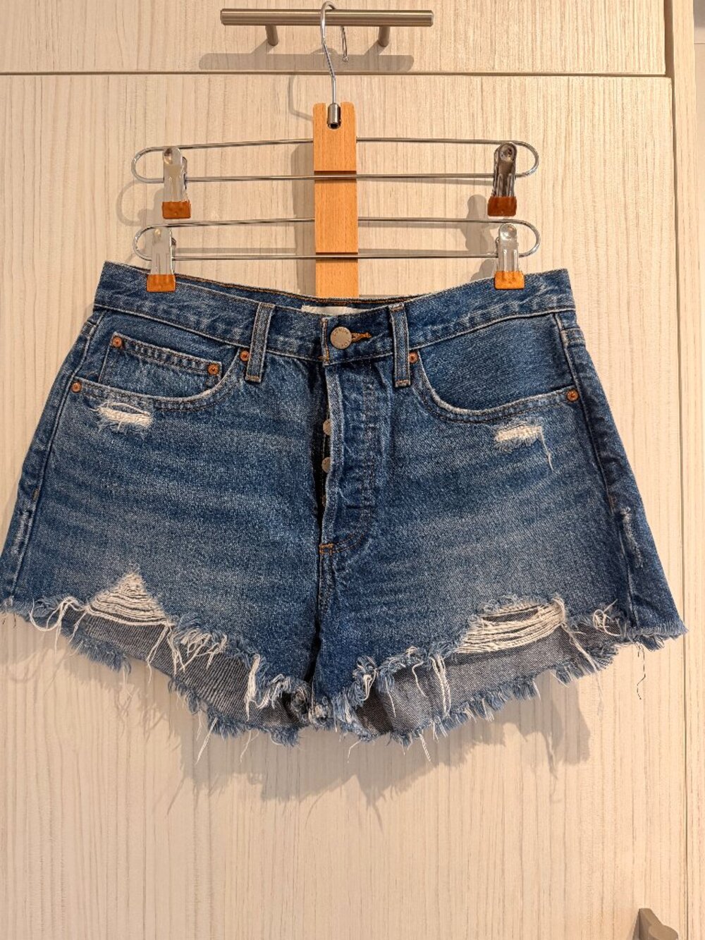 Aritzia Denium Forum Shorts